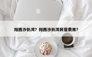 阳西沙扒湾？阳西沙扒湾民宿费用？