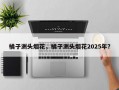 橘子洲头烟花，橘子洲头烟花2025年？